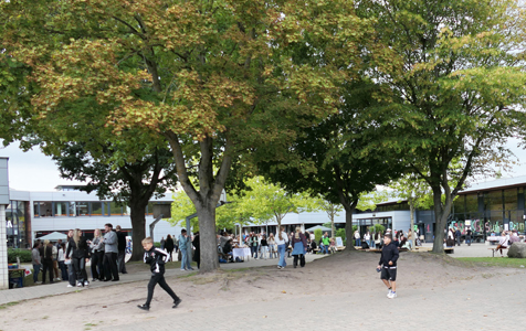 Fest (24).jpg